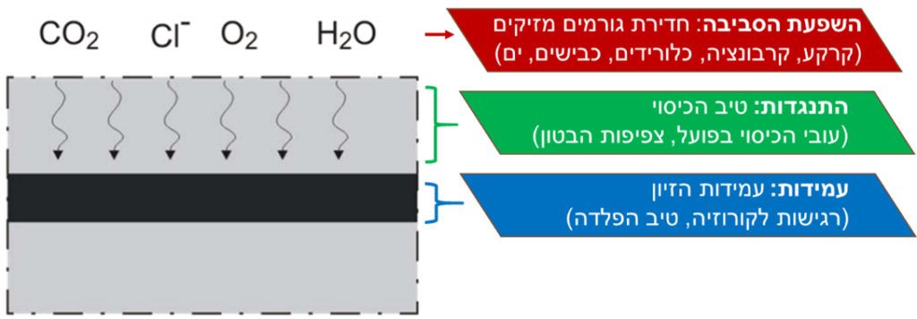 תרשים חדירת סביבה קורוזיבית לבטון מזויין